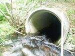 Culvert Crossing, Mann Brook at Route 1, Dedham, Maine