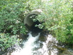Culvert Crossing, Mann Brook at Route 1, Dedham, Maine
