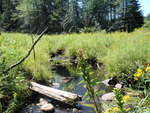 Culvert Crossing, Mansell Brook at Route 6 & 15, Greenville, Maine
