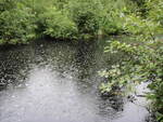 Culvert Crossing, Marsh Creek at Lincoln Access Rd, Chester, Maine