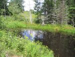 Culvert Crossing, Marsh River at Sheepscot Rd, Newcastle, Maine