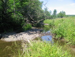 Culvert Crossing, Marsh Stream at Belfast Road - Route 137, Knox, Maine