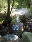 Culvert Crossing, Marshall Brook at Western Mountain Rd, Southwest Harbor, Maine