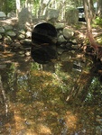 Culvert Crossing, Marshall Brook at Western Mountain Rd, Southwest Harbor, Maine