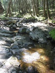 Culvert Crossing, Marshall Brook at Western Mountain Rd, Southwest Harbor, Maine
