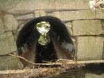 Culvert Crossing, Marshall Brook at Western Mountain Rd, Southwest Harbor, Maine