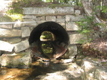Culvert Crossing, Marshall Brook at Western Mountain Rd, Southwest Harbor, Maine