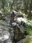 Culvert Crossing, Marshall Brook at Western Mountain Rd, Southwest Harbor, Maine