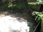 Culvert Crossing, Marshall Brook at Western Mountain Rd, Southwest Harbor, Maine