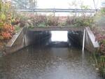 Culvert Crossing, Martin Stream at Federal Rd, Livermore, Maine