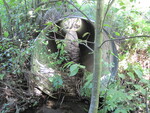 Culvert Crossing, Martin Stream at Hunt Rd, Thorndike, Maine