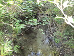 Culvert Crossing, Martin Stream at Hunt Rd, Thorndike, Maine