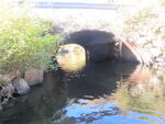 Culvert Crossing, Martin Stream at Tidswell Rd, Turner, Maine
