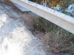 Culvert Crossing, Martin Stream at Tidswell Rd, Turner, Maine