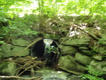 Culvert Crossing, Maxfield Brook at Butter Rd, Guilford, Maine