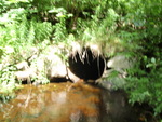 Culvert Crossing, Maxfield Brook at Butter Rd, Guilford, Maine