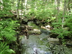 Culvert Crossing, Maxfield Brook at Butter Rd, Guilford, Maine