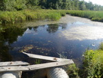 Culvert Crossing, Maxwell Brook at Litchfield Rd, Sabattus, Maine