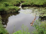 Culvert Crossing, McGurdy Stream at Norcross Road, Chesterville, Maine