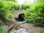 Culvert Crossing, Meader Brook at Brook Rd, Falmouth, Maine