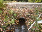 Culvert Crossing, Meadow Brook at Camp Cedar Rd, Casco, Maine