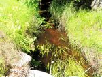 Culvert Crossing, Meadow Brook at Cushman Rd, Woodstock, Maine
