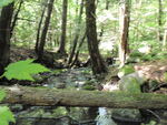 Culvert Crossing, Meadow Brook at Franklin Rd (Rt 133), Jay, Maine