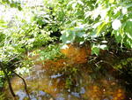 Culvert Crossing, Meadow Brook at Heath Rd, Norway, Maine