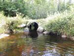 Culvert Crossing, Meadow Brook at L. Coffee Pond Rd, Casco, Maine
