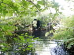 Culvert Crossing, Meadow Brook at L. Coffee Pond Rd, Casco, Maine