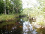 Culvert Crossing, Meadow Brook at L. Coffee Pond Rd, Casco, Maine