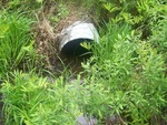 Culvert Crossing, Meadow Brook at Ladd Rd, Sebec, Maine