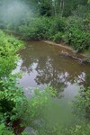 Culvert Crossing, Meadow Brook at Loggin Road, Frankfort, Maine