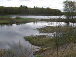 Culvert Crossing, Meadow Brook at Maxfield Rd, Howland, Maine