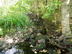Culvert Crossing, Meadow Brook at Meadow Rd, Casco, Maine