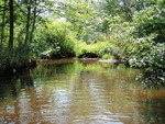 Culvert Crossing, Meadow Brook at Munson Rd, Wilton, Maine