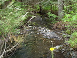 Culvert Crossing, Meadow Brook at North Rd, Sebec, Maine