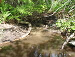 Culvert Crossing, Meadow Brook at North Rd, Sebec, Maine
