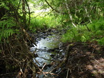 Culvert Crossing, Meadow Brook at North Rd, Sebec, Maine