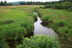 Culvert Crossing, Meadow Brook at North Searsport, Frankfort, Maine