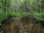 Culvert Crossing, Meadow Brook at Number Six Rd, Oxford, Maine