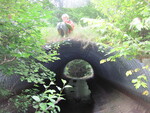 Culvert Crossing, Meadow Brook at Pond Rd, Burnham, Maine