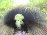 Culvert Crossing, Meadow Brook at Pond Rd, Burnham, Maine