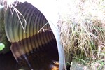 Culvert Crossing, Meadow Brook at Poor Farm Road - Swanville Road, Frankfort, Maine