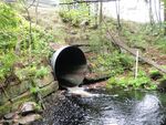 Culvert Crossing, Meadow Brook at Route 11 - Poland Spring Rd., Casco, Maine