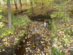 Culvert Crossing, Meadow Brook at Route 11, Casco, Maine
