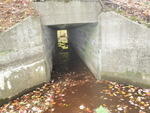 Culvert Crossing, Meadow Brook at Route 11, Casco, Maine