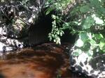 Culvert Crossing, Meadow Brook at Route 16, Magalloway Plt, Maine