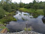 Culvert Crossing, Passagassawakeag River at Savage Rd, Waldo, Maine