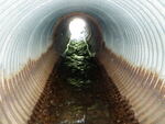 Culvert Crossing, Tim Brook at Tim Pond Rd, Eustis, Maine
